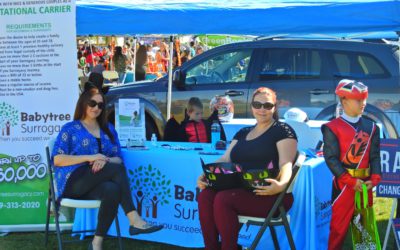 美国宝宝树代母公司介绍视频