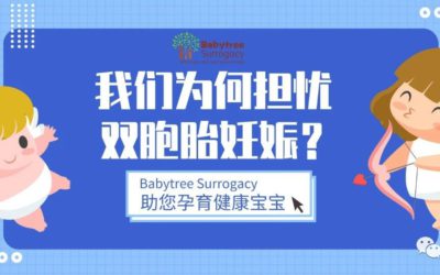 干货|风险早知道！我们为何担忧双胞胎妊娠？