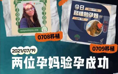 美国代孕网资讯|Babytree Surrogacy7月中下旬工作日常