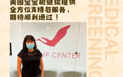 美国宝宝树10月工作记录