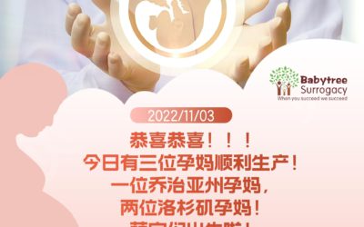 美国宝宝树11月工作记录