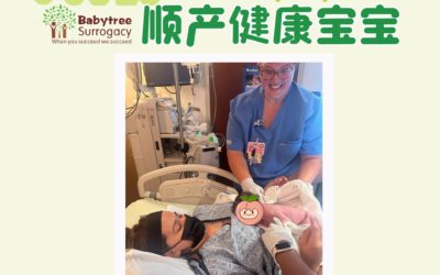 美国宝宝树工作日常【230901喜迎萌宝】