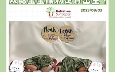 美国宝宝树工作日常【230903双胎宝宝】