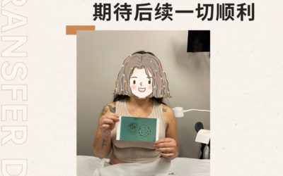 美国宝宝树工作日常【230907移植】