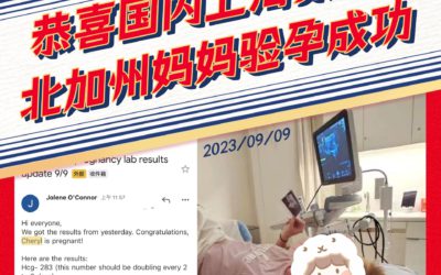 美国宝宝树工作日常【230909验孕成功】