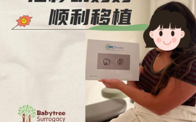 美国宝宝树工作日常【230911移植】