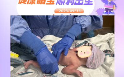 美国宝宝树工作日常【230913喜迎萌宝】